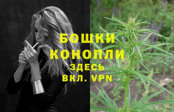 мет Аркадак