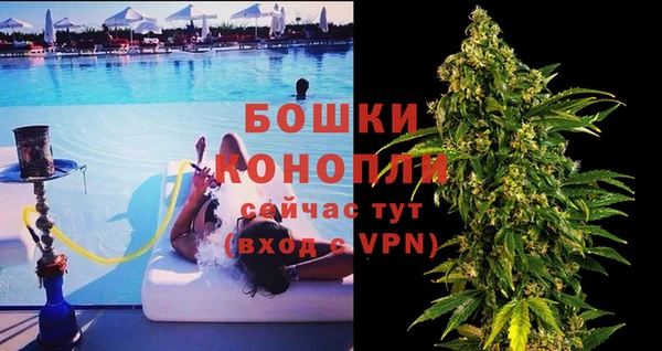трава Арсеньев