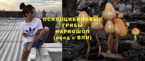 трава Арсеньев