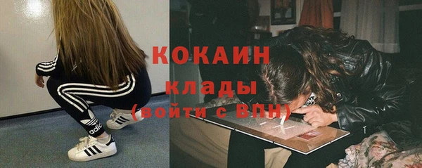 трава Арсеньев